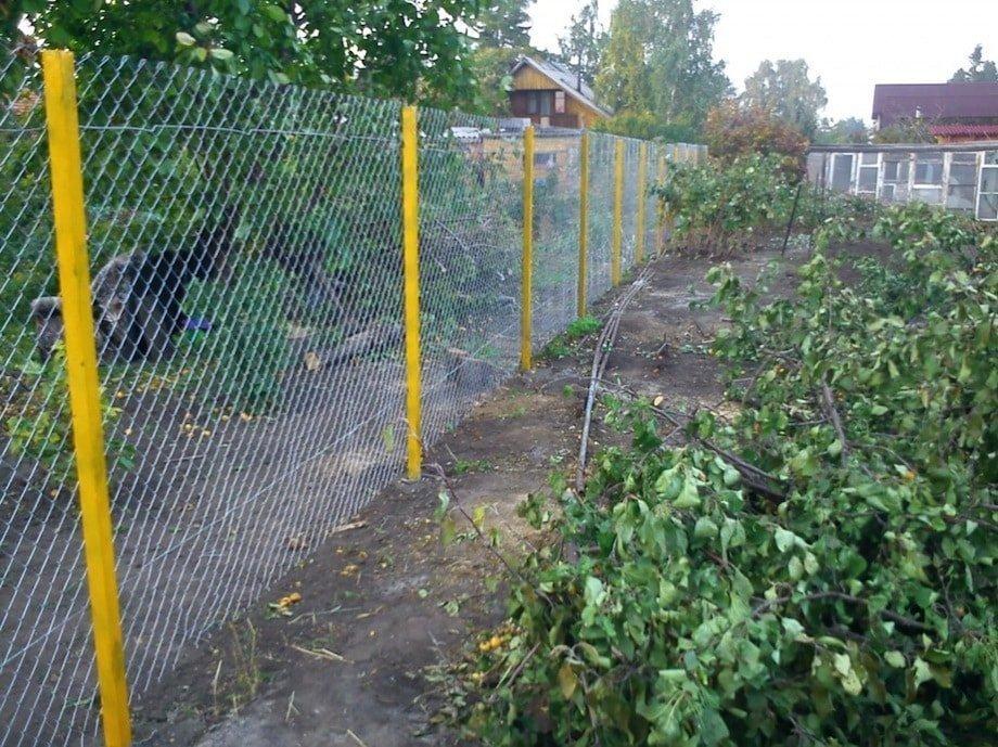 Готовые объекты img